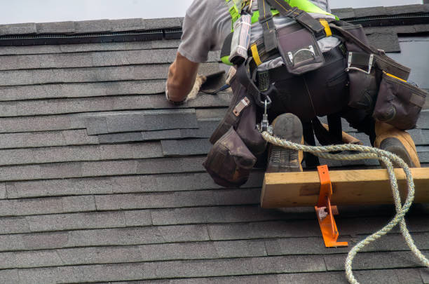 Best Roof Gutter Cleaning  in Castlewood, VA